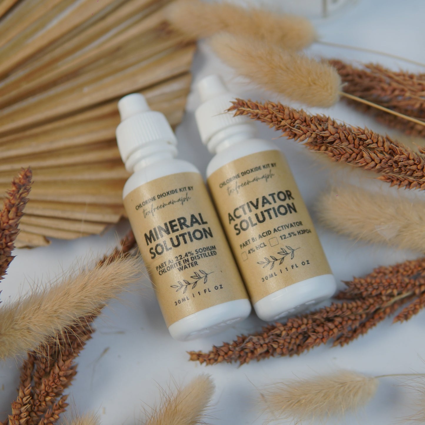 CHLORINE DIOXIDE KIT (MMS ONSITE GENERATION)